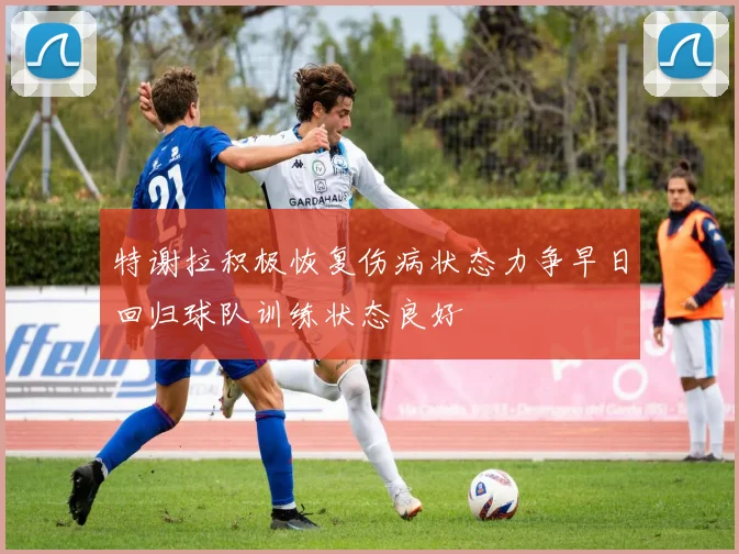 特谢拉积极恢复伤病状态力争早日回归球队训练状态良好