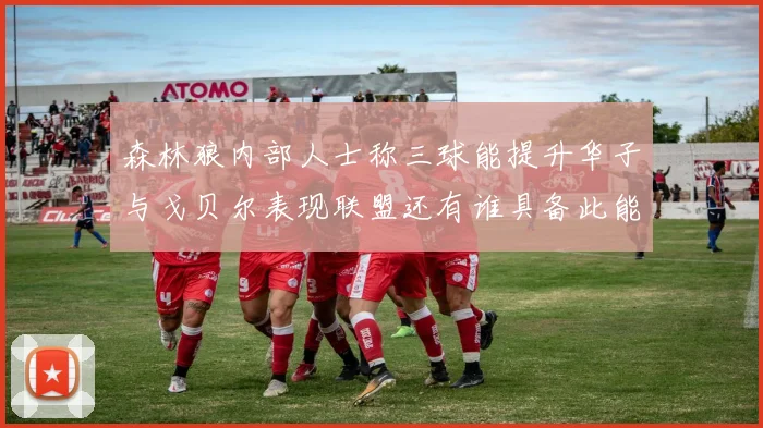 森林狼内部人士称三球能提升华子与戈贝尔表现联盟还有谁具备此能力
